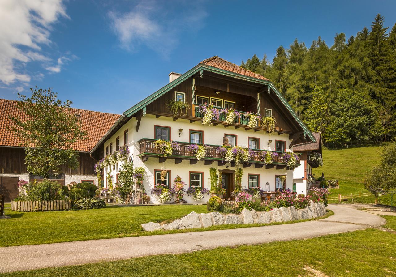 Wohlfuehlbauernhof Bambichlhof Villa Fuschl am See Luaran gambar