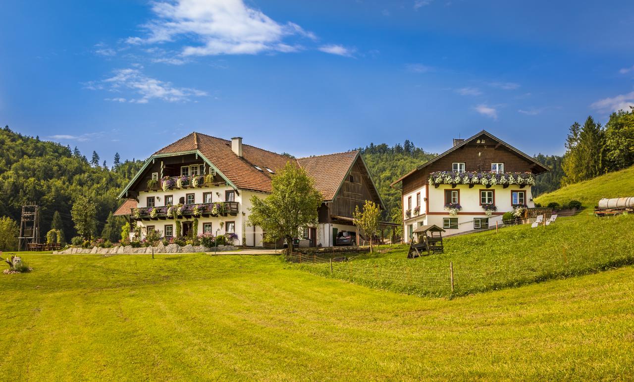 Wohlfuehlbauernhof Bambichlhof Villa Fuschl am See Luaran gambar